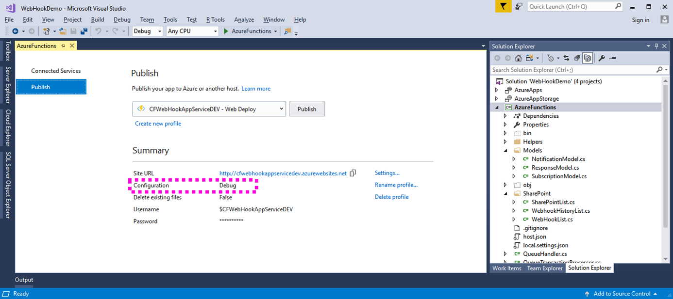 Visual Studio Debug Configuration